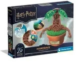 Harry Potter - Alraune