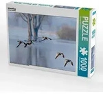 CALVENDO Puzzle G&auml;nseflug 1000 Teile Lege-Gr&ouml;&szlig;e 64x48cm Foto-Puzzle f&uuml;r