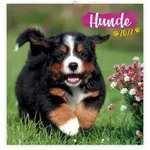 TR&Ouml;TSCH - Brosch&uuml;renkalender Hunde 2027