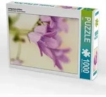 CALVENDO Puzzle campanula bl&uuml;ten 1000 Teile Lege-Gr&ouml;&szlig;e 64x48cm Foto-Puzzle...