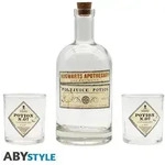 HARRY POTTER Bottle and glasses Set Potion