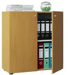 B&uuml;roschrank B&uuml;cher Ordner Aktenschrank Lona 2fach