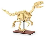 CaDA Dinosaurier Fossil Velociraptor Bricks