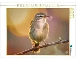 CALVENDO Puzzle Der kleine Star, ein Blick, der h&auml;ngen bleibt. 1000 Teile