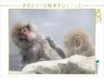 CALVENDO Puzzle Ein Motiv aus dem Kalender Schneeaffen im Jigokudani...
