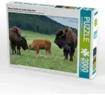 CALVENDO Puzzle Bison Familie im Custer State Park 2000 Teile Lege-Gr&ouml;&szlig;e 90 &times; 67