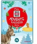 Mein WAS IST WAS Adventskalenderbuch 4