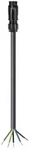 Wieland Electric 46.452.20C4.1 Anschlussleitung Schwarz