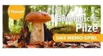 Einheimische Pilze &ndash; das Memo-Spiel
