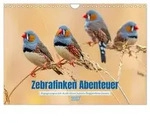 Zebrafinken Abenteuer (Wandkalender 2027 DIN A4 quer), CALVENDO Monatskalender