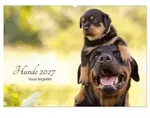Hunde 2027 - Treue Begleiter (Wandkalender 2027 DIN A2 quer), CALVENDO...
