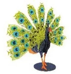 3D Papiermodell. Pfau