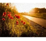 CALVENDO Puzzle Mohnblumen am Radweg zwischen He&szlig;dorf und Gro&szlig;enseebach 1000...