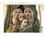 CALVENDO Puzzle Weisheit der Nacht 1000 Teile Lege-Gr&ouml;&szlig;e 64 &times; 48 cm...
