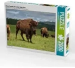 CALVENDO Puzzle Bison Familie im Custer State Park 2000 Teile Lege-Gr&ouml;&szlig;e 90 &times; 67