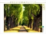 CALVENDO Puzzle Pappelallee im Hohenheimer Schlosspark 1000 Teile Lege-Gr&ouml;&szlig;e...