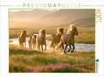 CALVENDO Puzzle Frei wie der Wind 1000 Teile Lege-Gr&ouml;&szlig;e 64 &times; 48 cm...