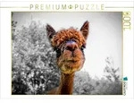 CALVENDO Puzzle Ein Motiv aus dem Kalender Alpaka Gesichter 1000 Teile...