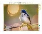 CALVENDO Puzzle Portrait der Leichtigkeit, Natur, die sich selbst malt. 1000...