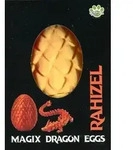 Drachenei "MagiX Dragon Egg RAHIZEL", orange, Drachen 22,5 cm & Ei 8 cm