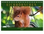 Eichh&ouml;rnchen, Kobolde des Waldes (Tischkalender 2027 DIN A5 quer), CALVENDO
