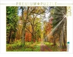 CALVENDO Puzzle M&auml;rchenhafter Wald mit knorrigen Eichen im Herbstlicht l&auml;dt...