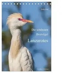 Die sch&ouml;nsten Brutv&ouml;gel Lanzarotes (Tischkalender 2027 DIN A5 hoch), CALVENDO