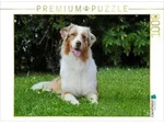 CALVENDO Puzzle Ein Motiv aus dem Kalender Bekannt wie ein bunter Hund....