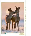 CALVENDO Puzzle N&auml;he, die von Herzen w&auml;rmt 2000 Teile Lege-Gr&ouml;&szlig;e 90 &times; 67 cm