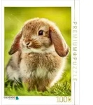 CALVENDO Puzzle Tierisch sch&ouml;ne Gef&uuml;hle 1000 Teile Lege-Gr&ouml;&szlig;e 64x48cm...
