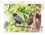 CALVENDO Puzzle Star mit Nachwuchs 1000 Teile Lege-Gr&ouml;&szlig;e 64 &times; 48 cm...