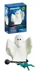 72362 Geist