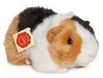 Meerschweinchen, 3-farbig, 20 cm