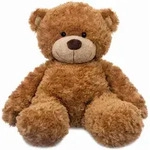 Bonnie Brown 13In