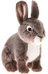 STREICHELZOO - Hase