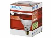 Philips Infrarotlampe PAR38 IR 100W E27 230V Red