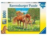 Puzzle Ravensburger Pferdegl&uuml;ck auf der Wiese 100 Teile XXL