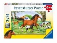 Ravensburger 08882 - Welt der Pferde