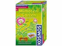 Kosmos 616809 - Mimosa Garden V1