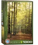 Waldweg
