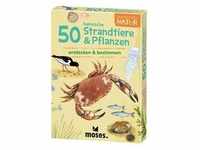 Moses MOS09745 - Expedition Natur: 50 heimische Strandtiere & Pflanzen,...