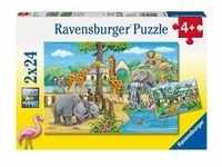 Ravensburger 078066 - Willkommen im Zoo, 2x24 Teile, Kinderpuzzle
