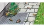 TESA Insect stop Lichtschachtgitter 1St.