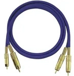 Cinch Audio Anschlusskabel [2x Cinch-Stecker - 2x Cinch-Stecker] 0.50 m Blau