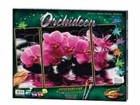 Schipper 609260603 - Orchideen, MNZ, Malen nach Zahlen