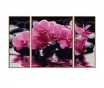 Malen nach Zahlen - Orchideen (Triptychon)