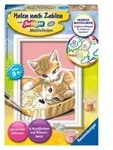 Ravensburger Malen nach Zahlen, Katzenbabys