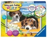 Ravensburger Malen nach Zahlen, Jack Russel Welpen, Malset