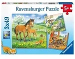 Puzzle Ravensburger Kuschelzeit 3 X 49 Teile