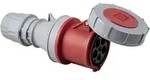 AS Schwabe 400V 63A 5-polig 6h IP67 60428 CEE Kupplung 63A 5polig 400V 1St.
